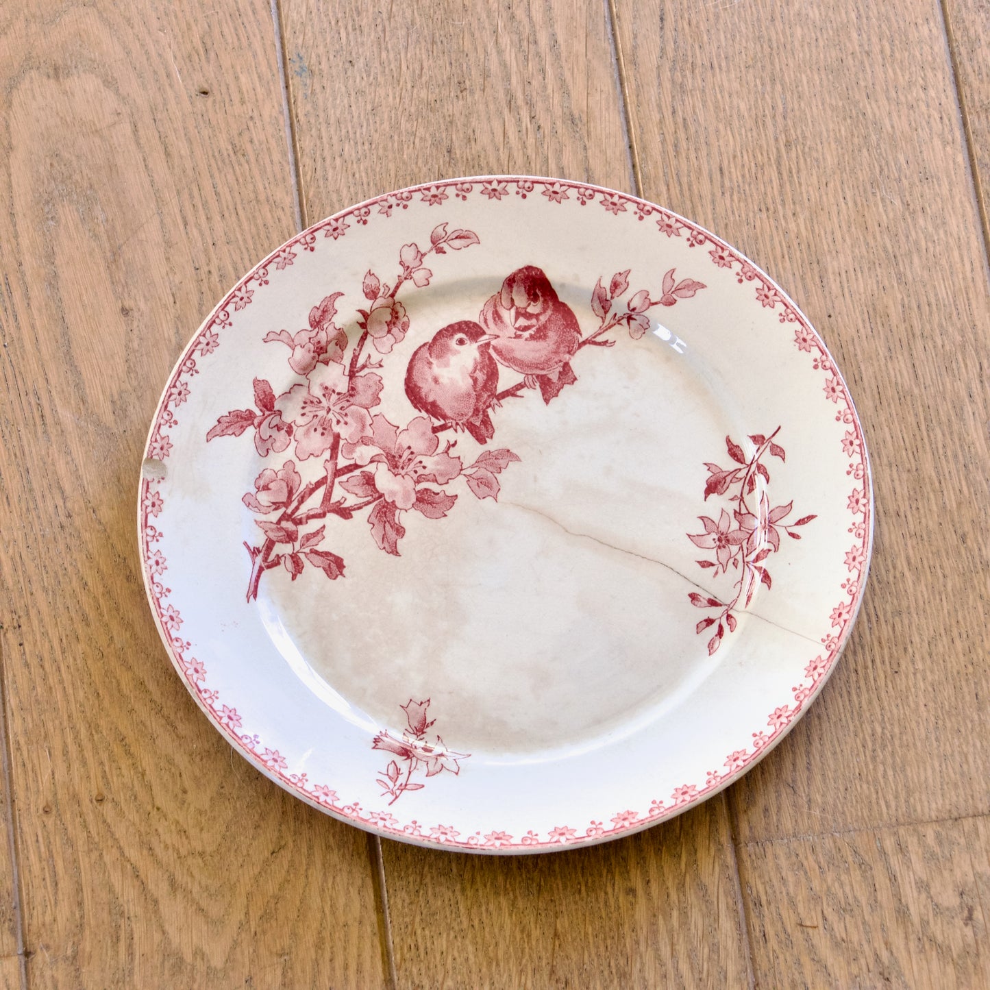 6 assiettes plates XIXe Sarreguemines "Favori" avec défauts