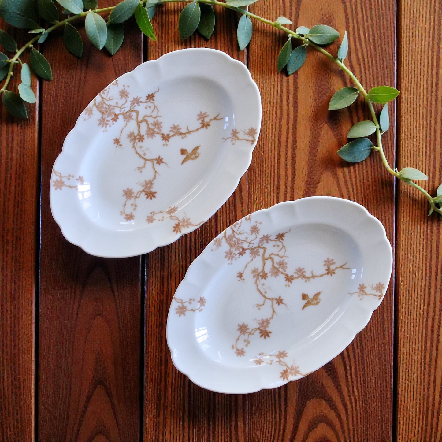 Service 38 pièces en porcelaine de Limoges Charles Haviland oiseaux sépia