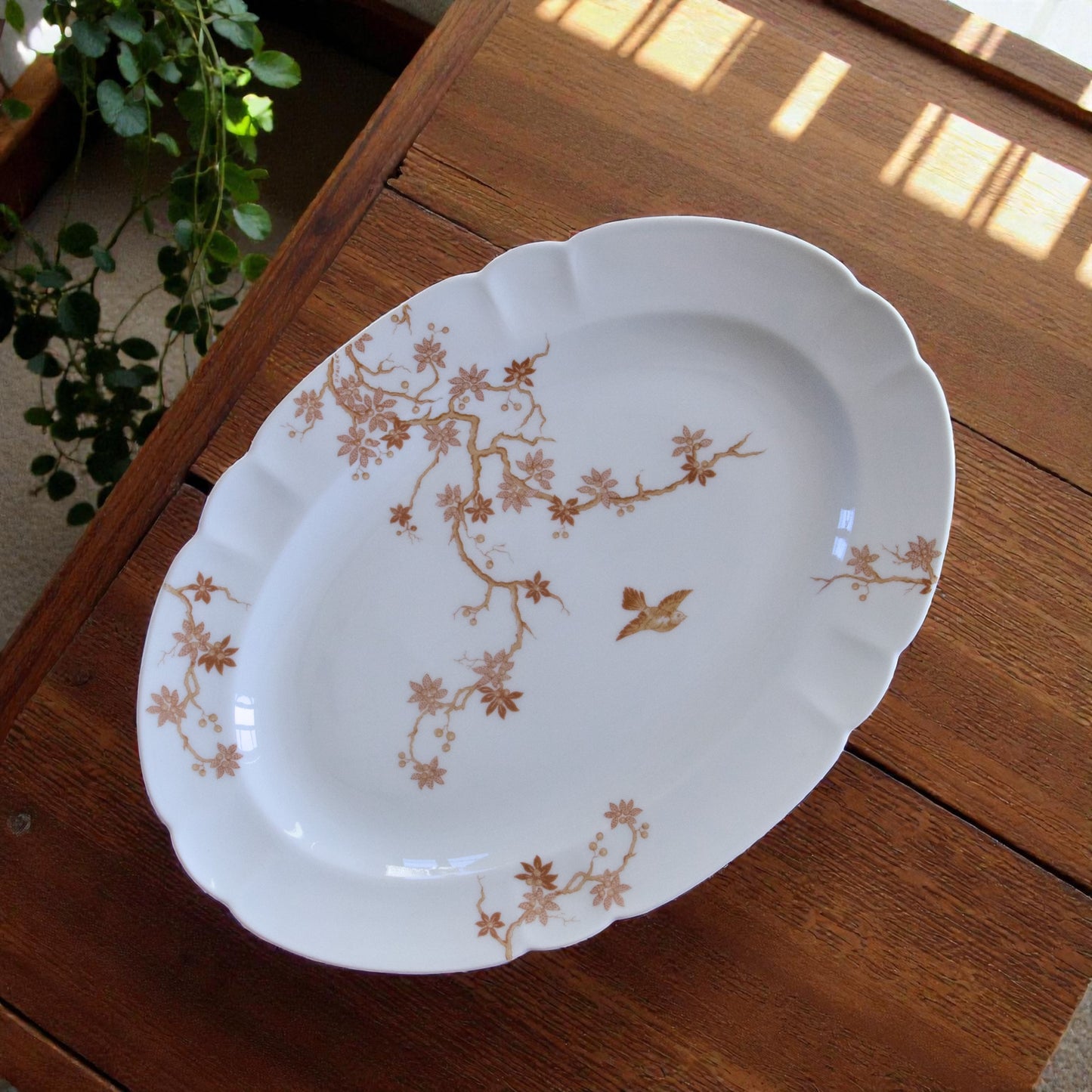 Service 38 pièces en porcelaine de Limoges Charles Haviland oiseaux sépia