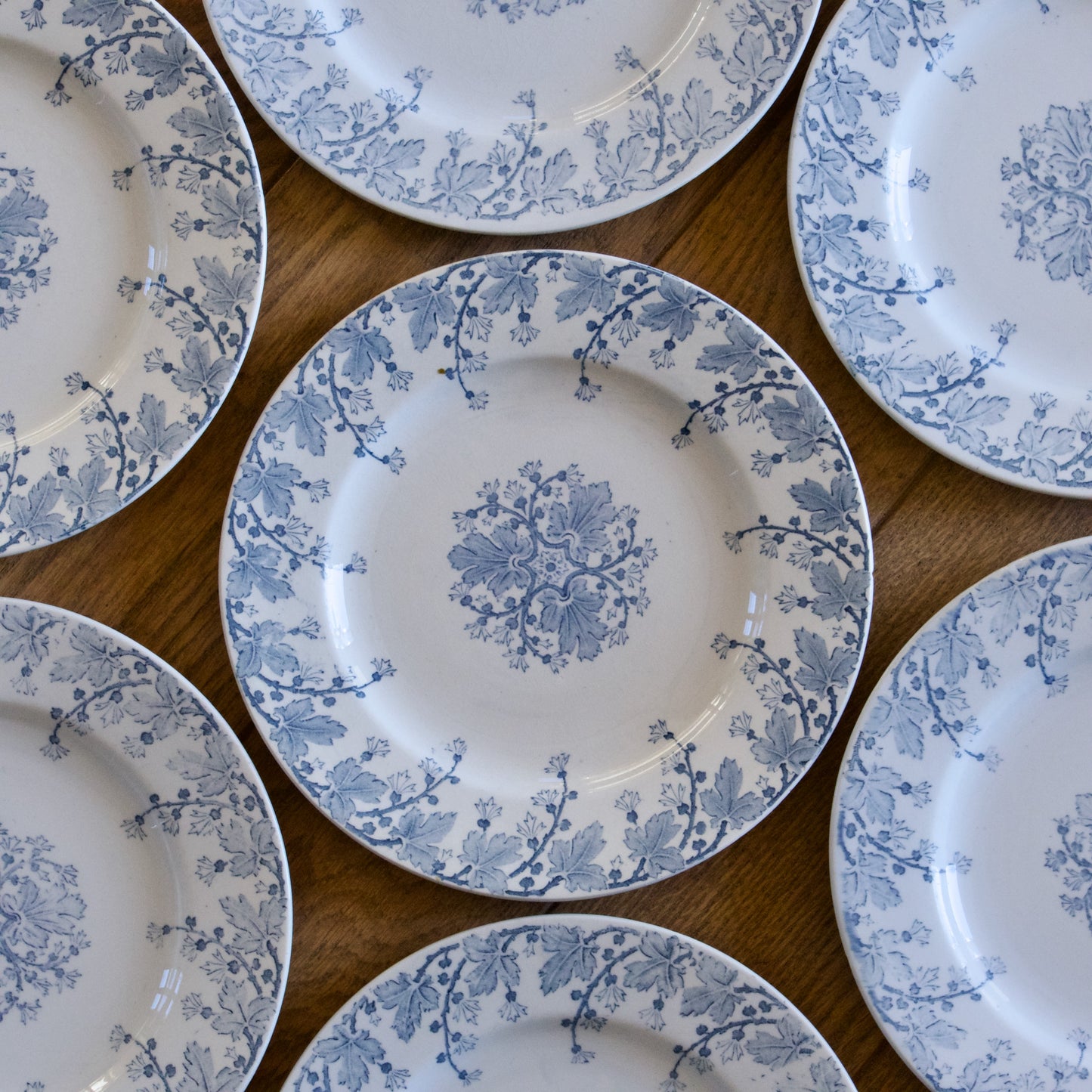7 assiettes à dessert XIXe KG Luneville collection Neva - terre de fer