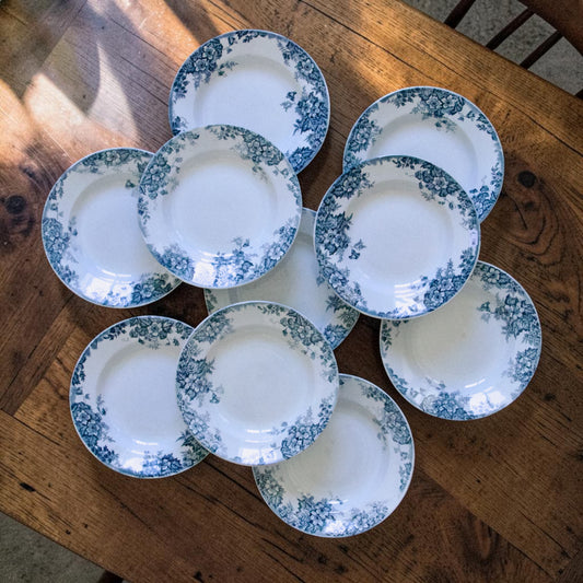 10 assiettes Moulin des Loups "Marie-Louise" - terre de fer