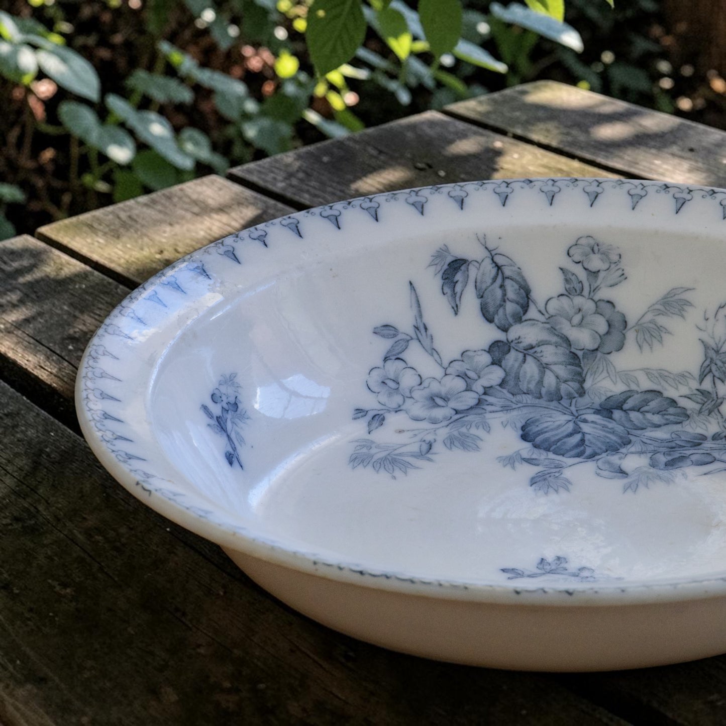 Plat creux XIXe Sarreguemines "Flore" - terre de fer