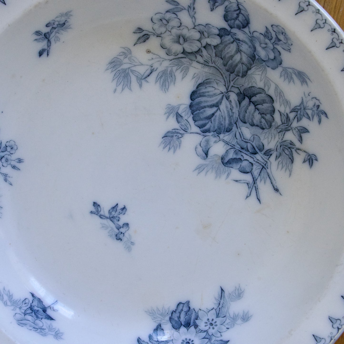 Plat creux XIXe Sarreguemines "Flore" - terre de fer