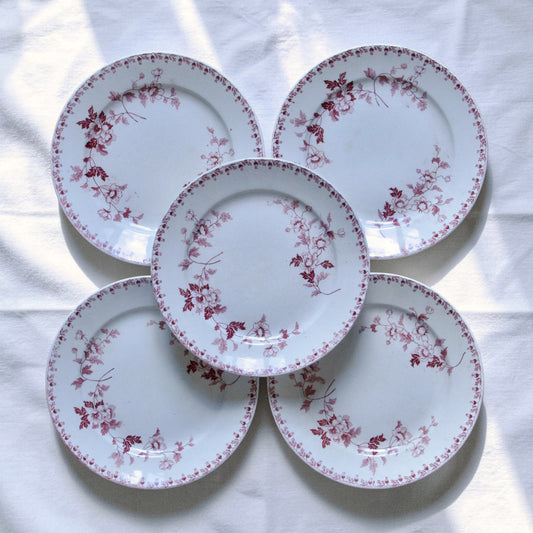 5 assiettes à dessert Maestricht "Toulouse" - terre de fer rose