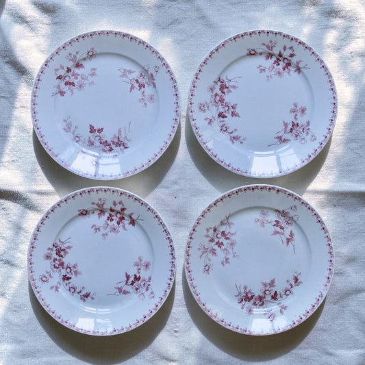 4 assiettes plates signées Maestricht collection "Toulouse" - terre de fer