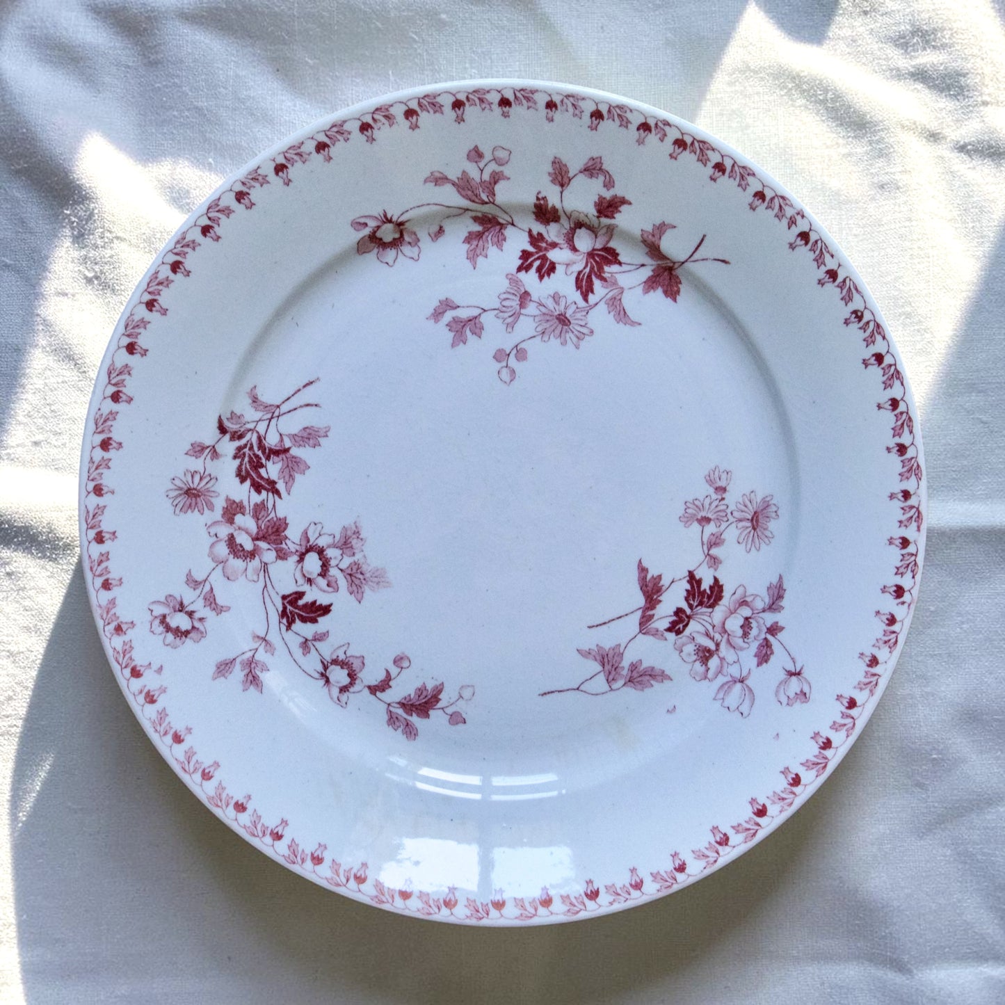 4 assiettes plates signées Maestricht collection "Toulouse" - terre de fer