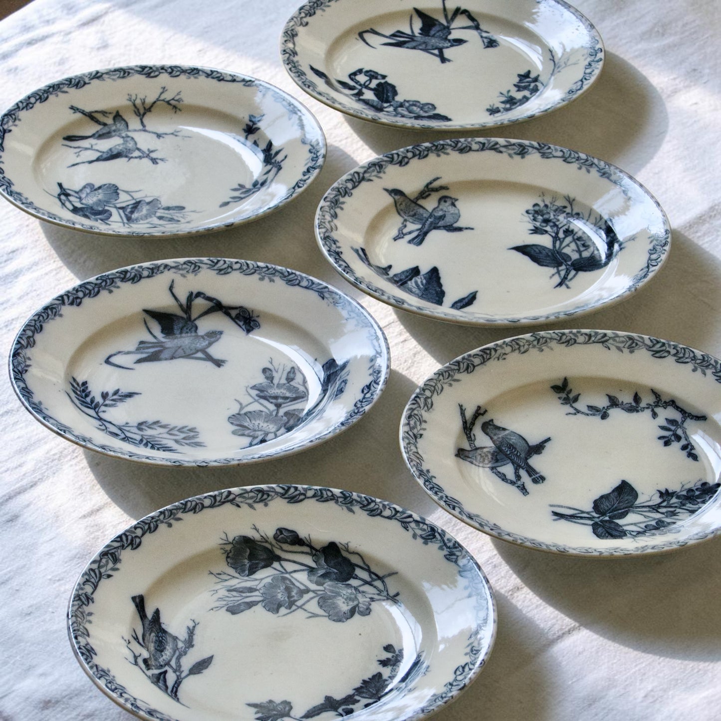 Assiettes plates XIXe Onnaing aux oiseaux - terre de fer