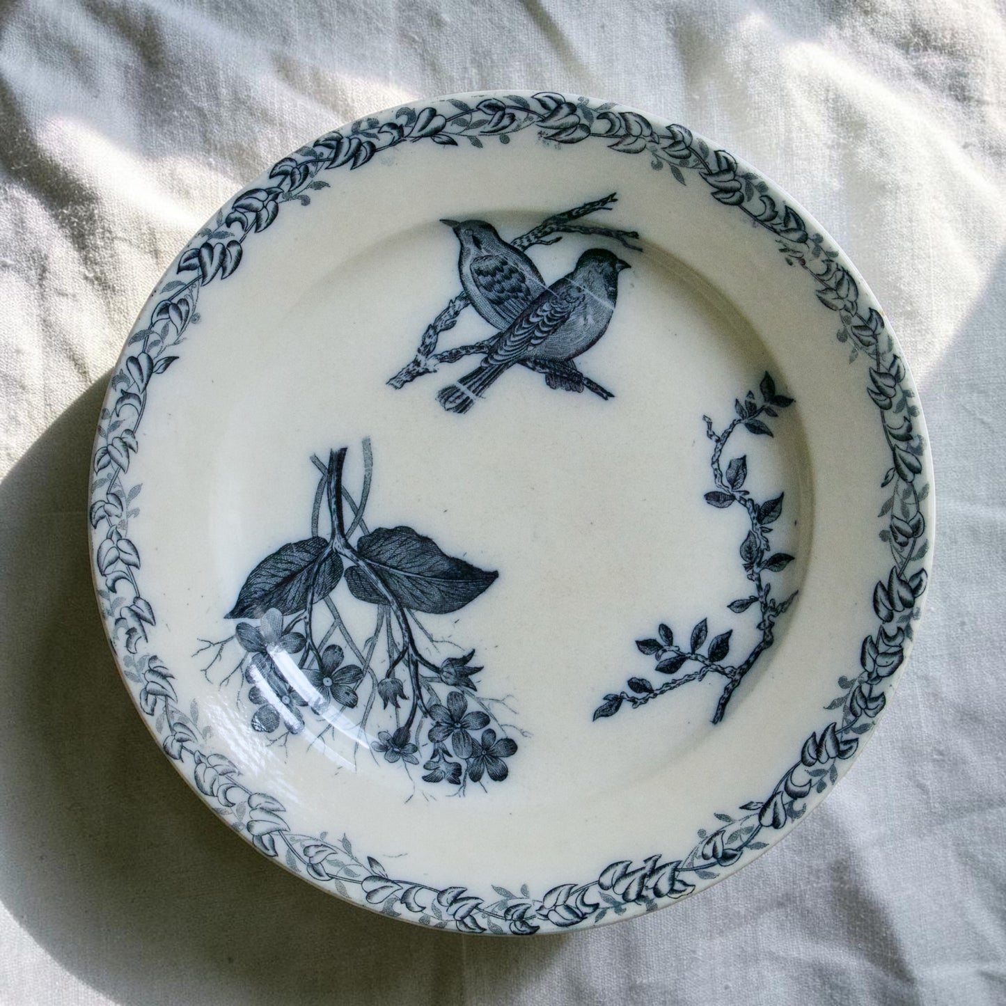 Assiettes plates XIXe Onnaing aux oiseaux - terre de fer
