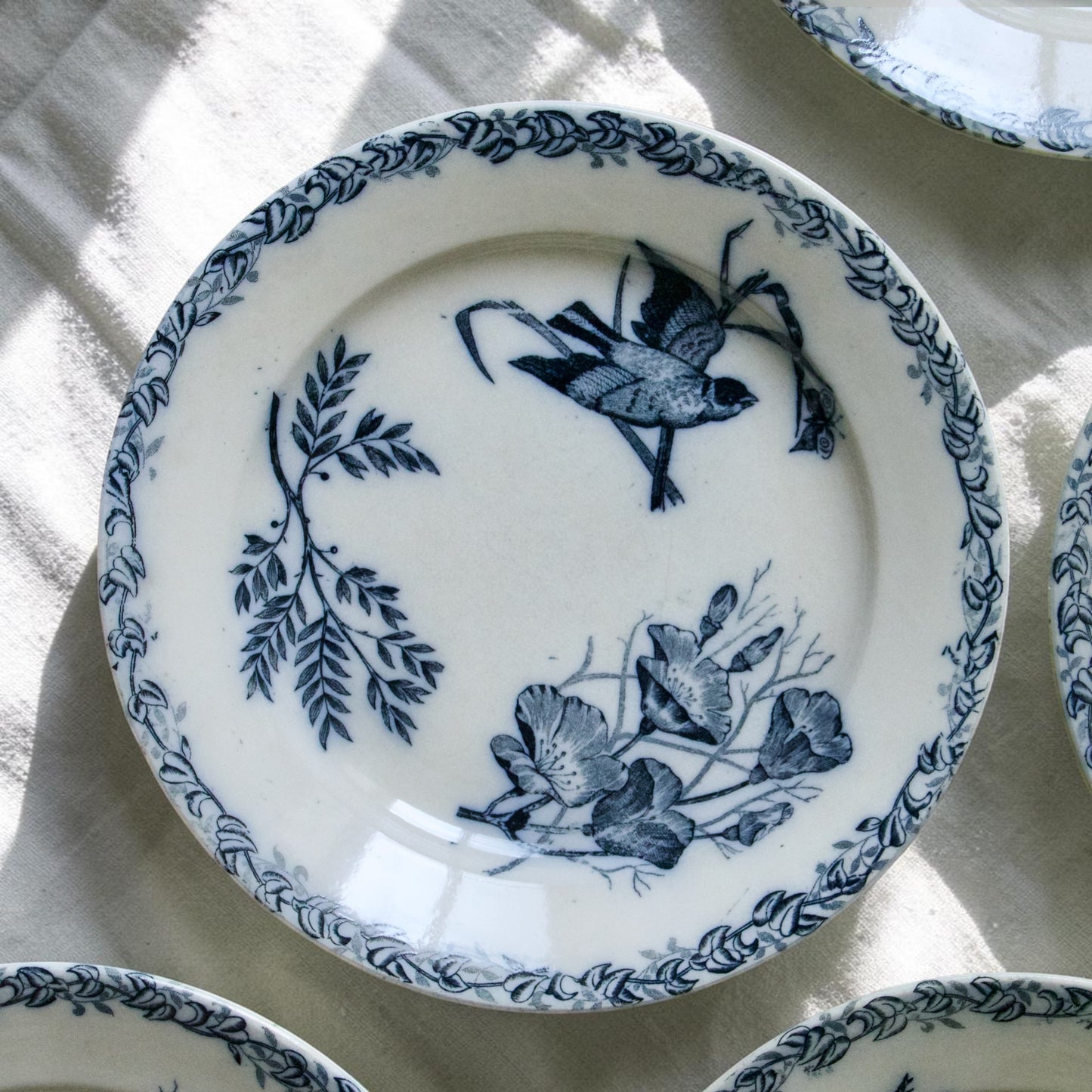 Assiettes plates XIXe Onnaing aux oiseaux - terre de fer