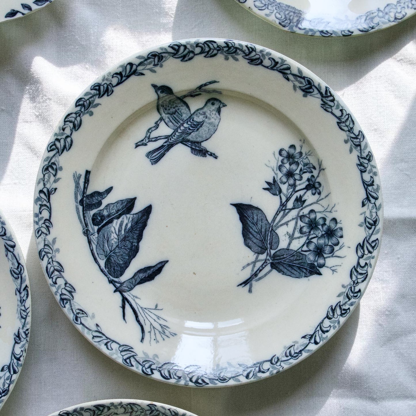 Assiettes plates XIXe Onnaing aux oiseaux - terre de fer