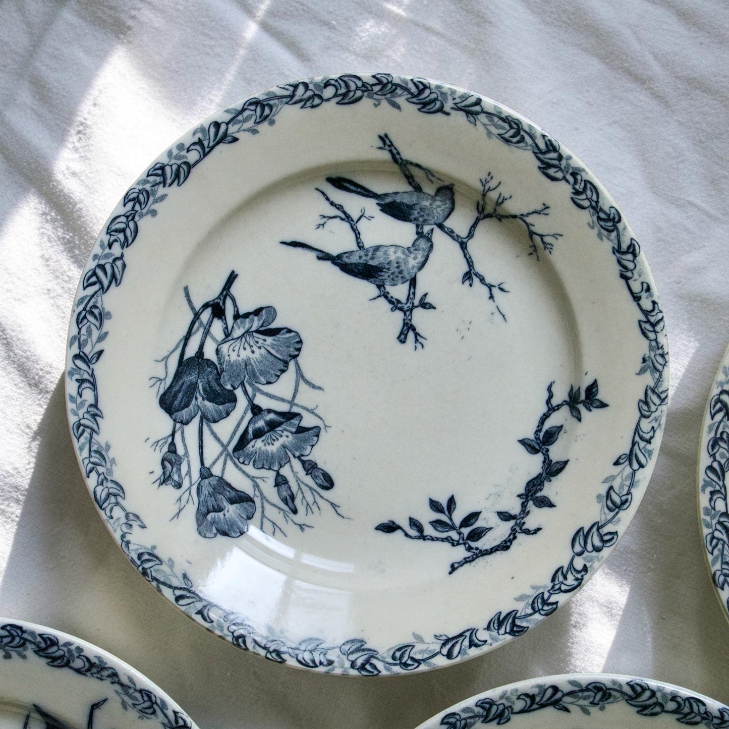 Assiettes plates XIXe Onnaing aux oiseaux - terre de fer