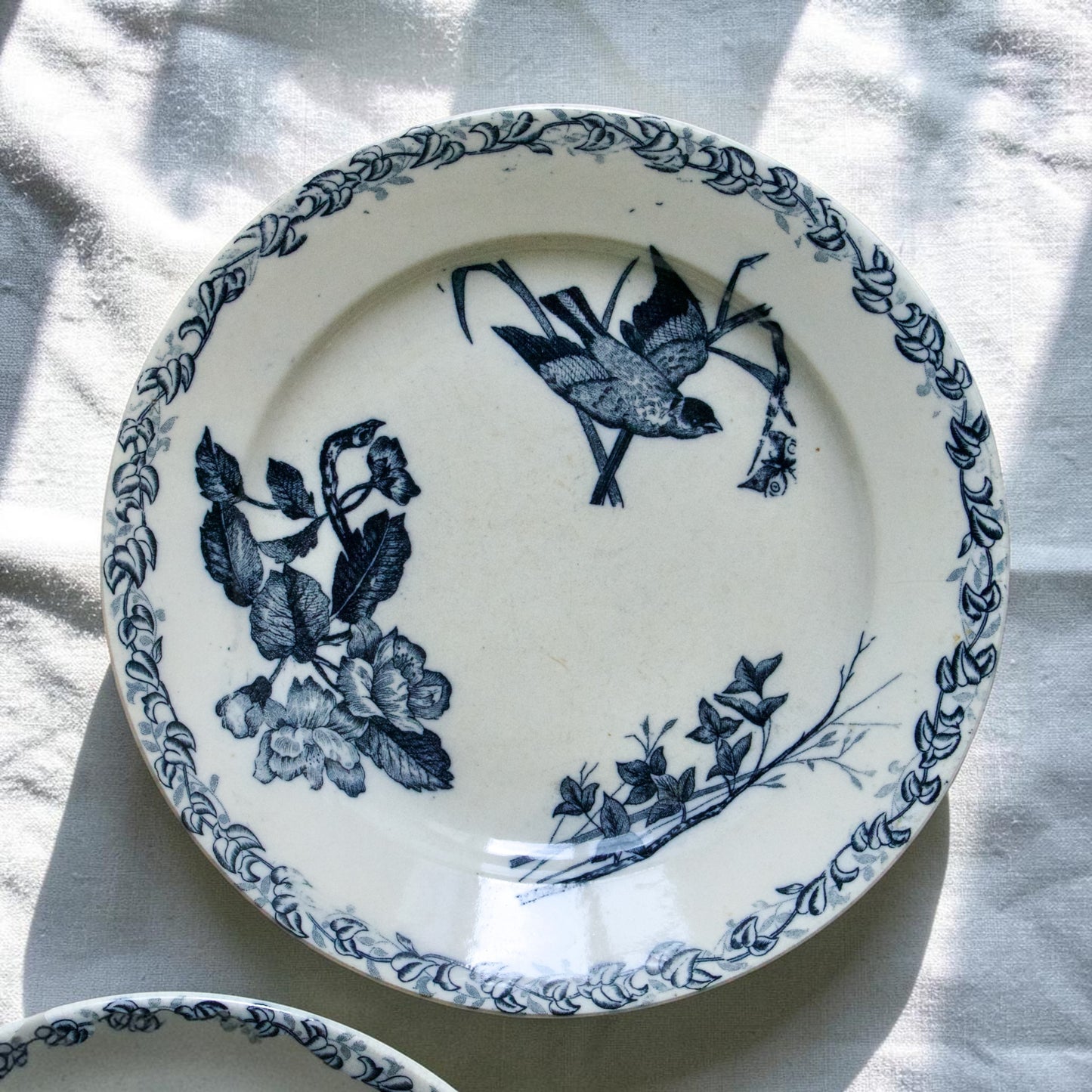 Assiettes plates XIXe Onnaing aux oiseaux - terre de fer