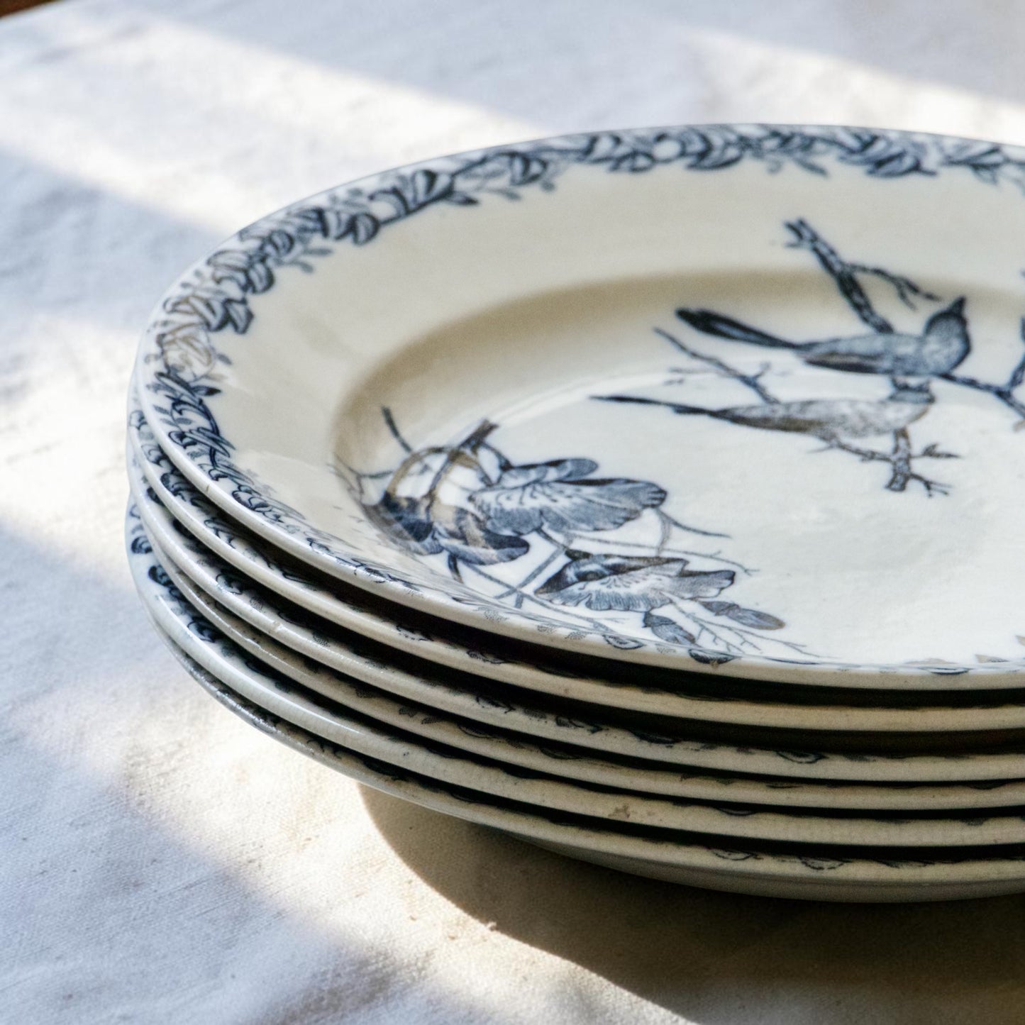 Assiettes plates XIXe Onnaing aux oiseaux - terre de fer