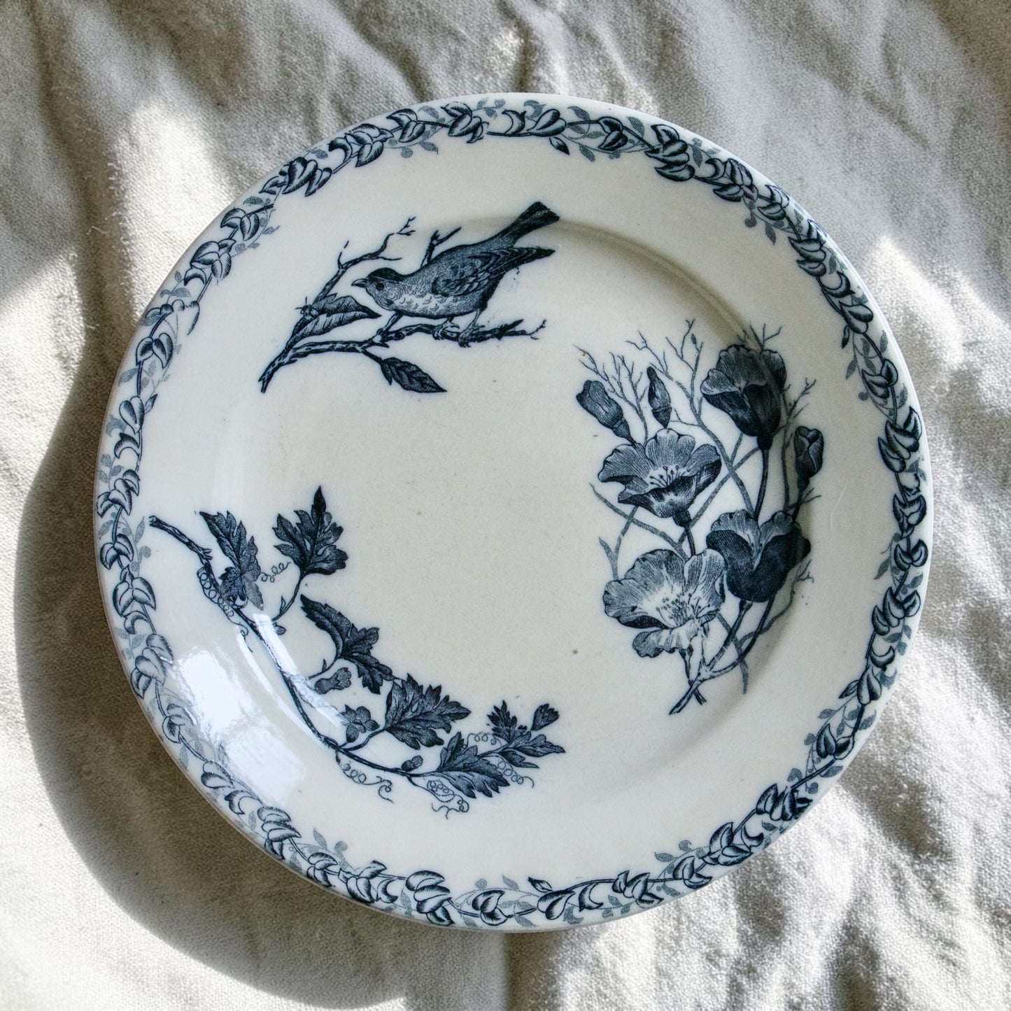 Assiettes plates XIXe Onnaing aux oiseaux - terre de fer